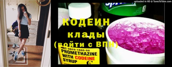 гидра Горнозаводск