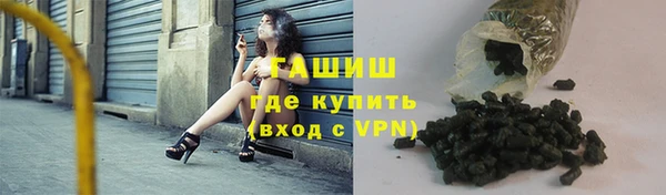 индика Мегион