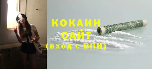 2c-b Горно-Алтайск