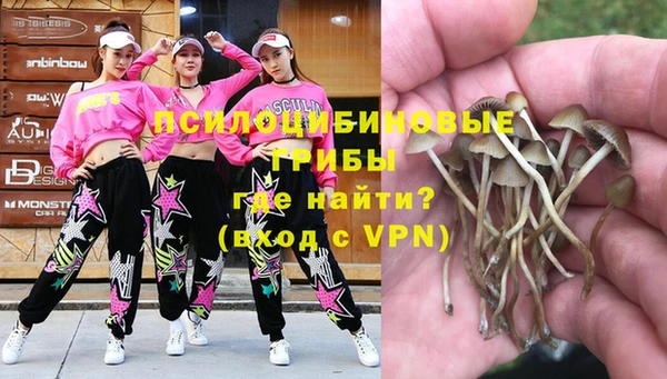 таблы Горняк